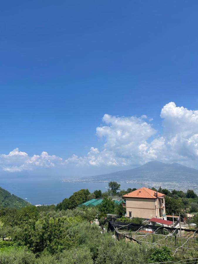 Villa Marilu Pimonte Εξωτερικό φωτογραφία